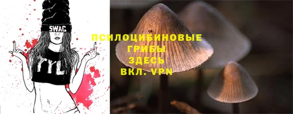 хмурый Алексин
