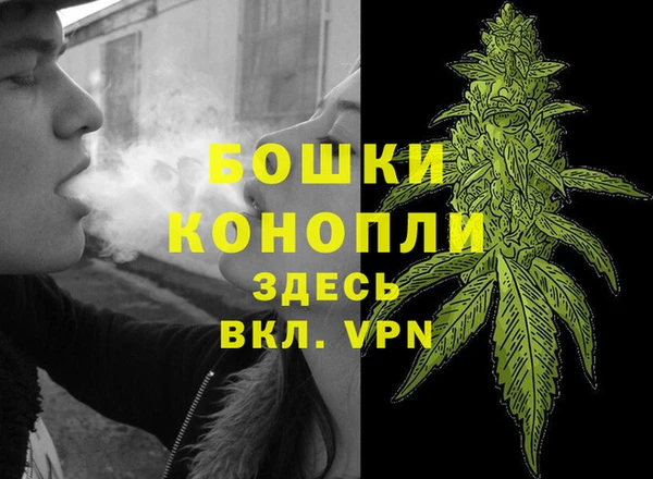 СК Гусь-Хрустальный