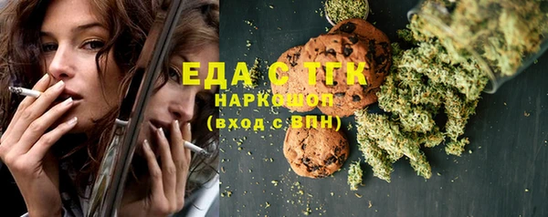 хмурый Алексин