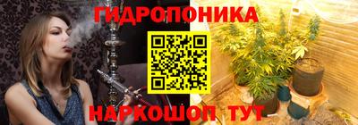 эйфоретик Славгород