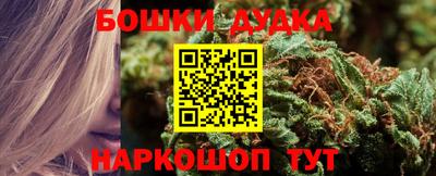эйфоретик Славгород