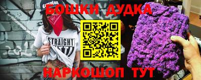 гидропоника Сланцы
