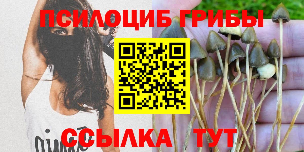 Псилоцибиновые грибы мицелий Самара