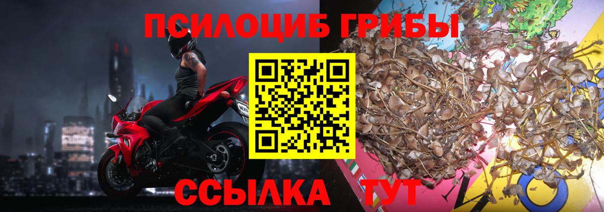 Псилоцибиновые грибы Psilocybine cubensis  Вход с VPN  Самара 